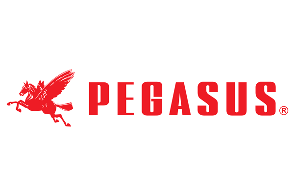 Pegasus